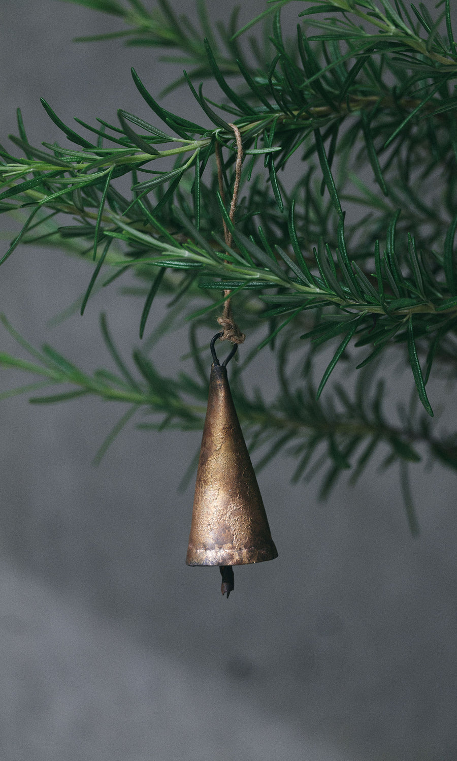 Plümo  The Hanging Brass Bell - Medium hangs from a string on a green branch against a gray background.