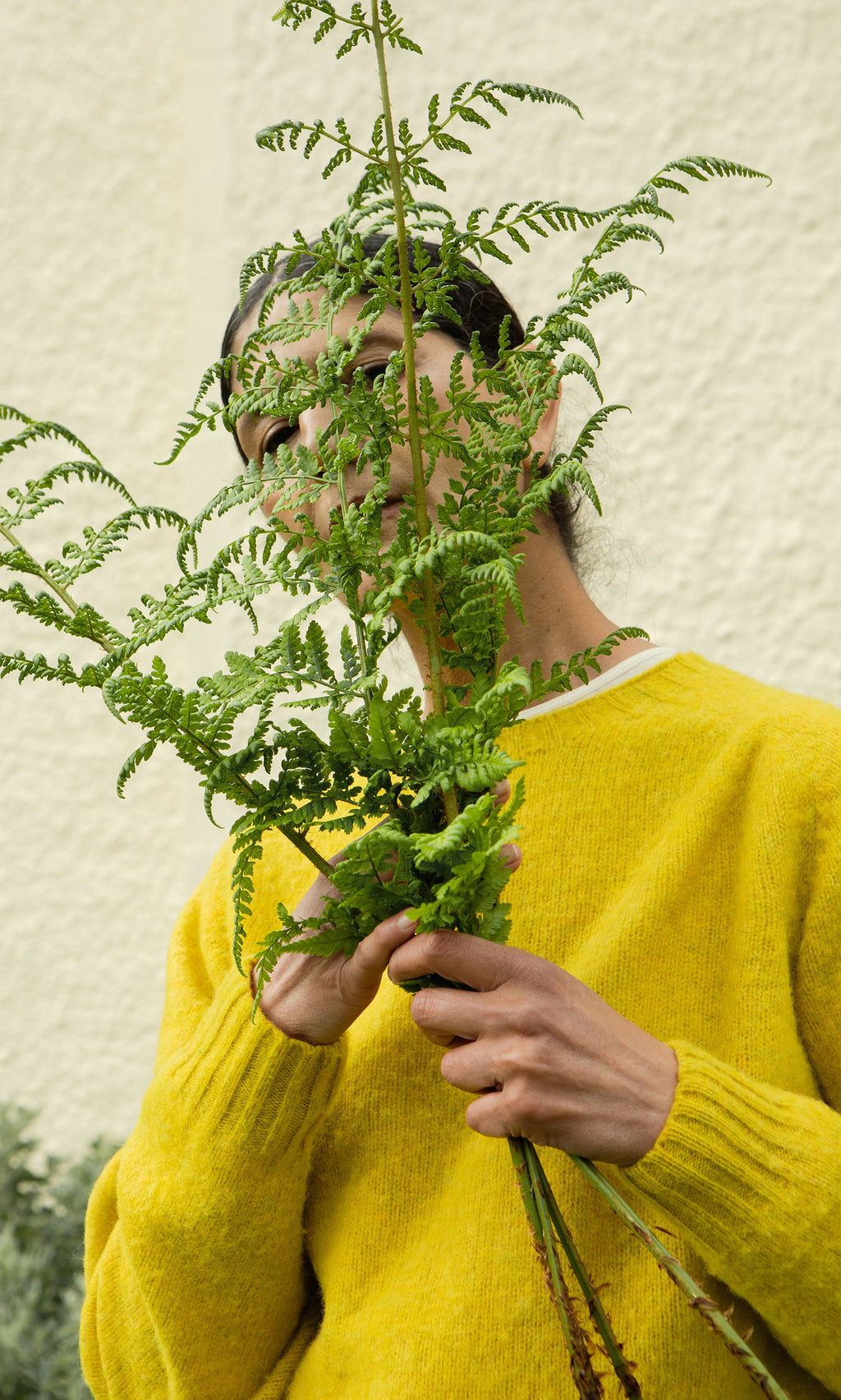 Plümo  Model in Wicklow Crewneck - Golden Hop holds green ferns, face hidden, standing next to a light-colored wall.