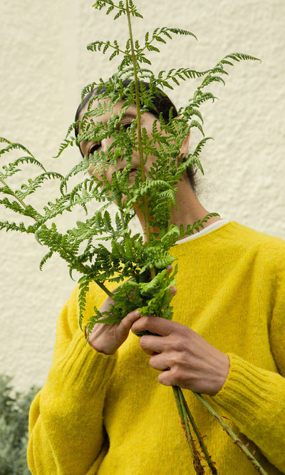 Plümo  Model in Wicklow Crewneck - Golden Hop holds green ferns, face hidden, standing next to a light-colored wall.