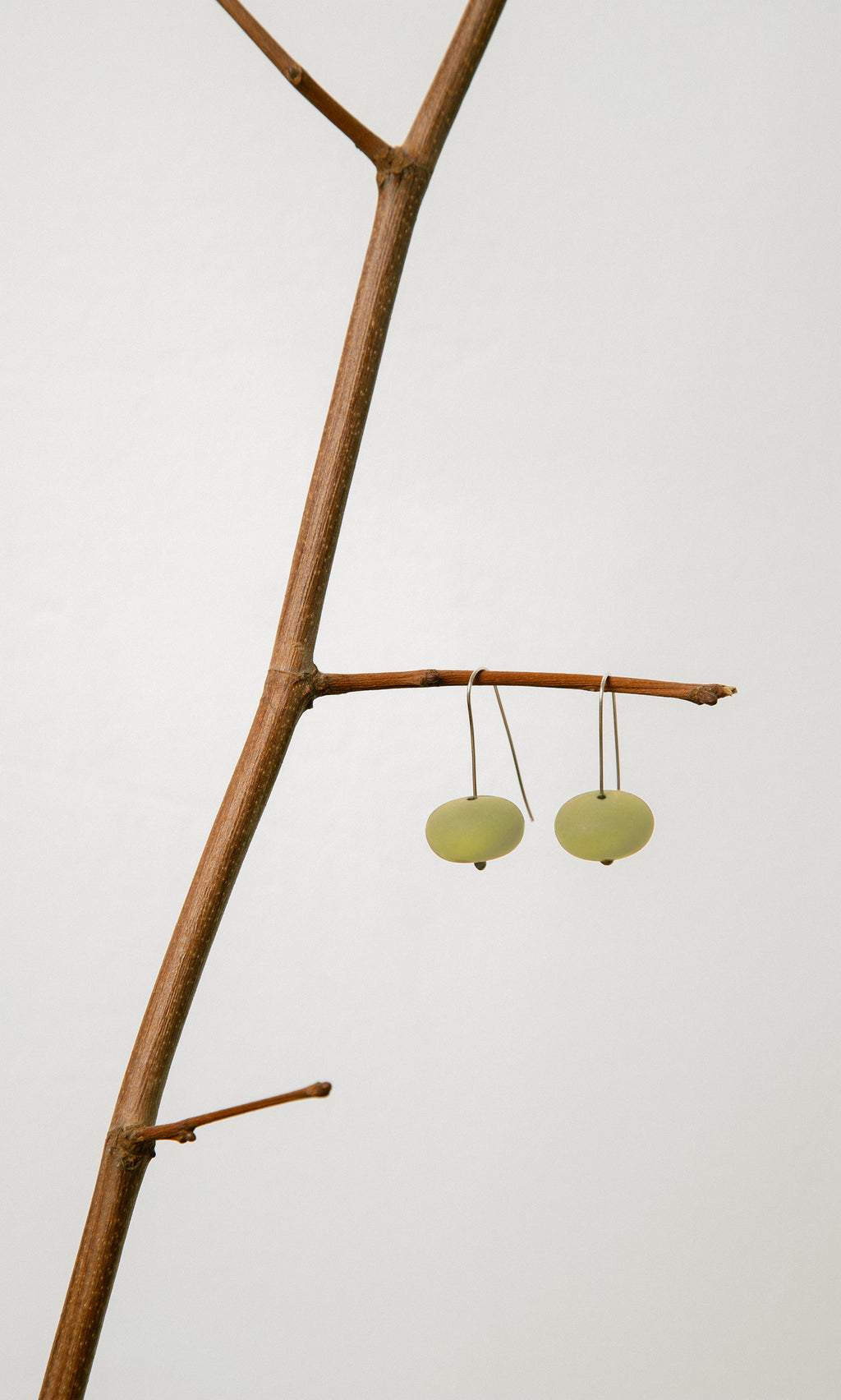 Plümo- Gala Earrings, inspired by seaglass, hang on a bare brown branch against a simple light background.