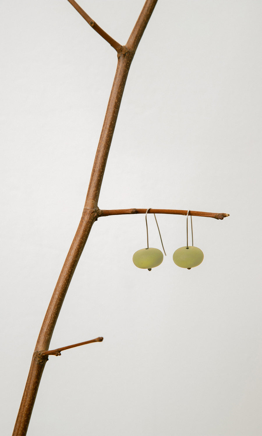 Plümo- Gala Earrings, inspired by seaglass, hang on a bare brown branch against a simple light background.