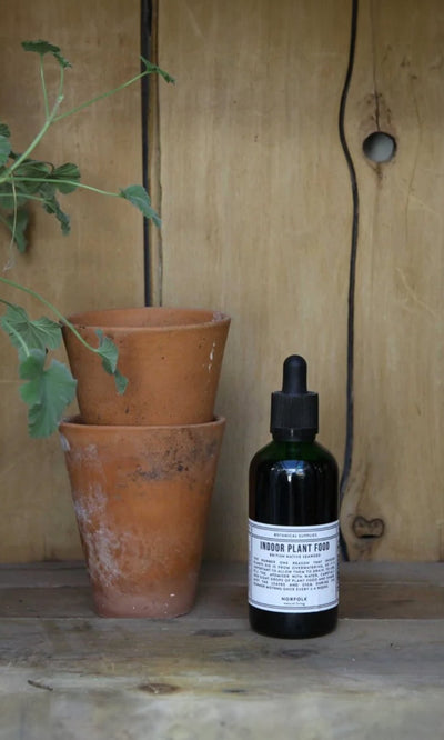 Plümo- Two stacked terracotta pots next to a bottle of Indoor plant food on a wooden shelf with a visible plant leaf.