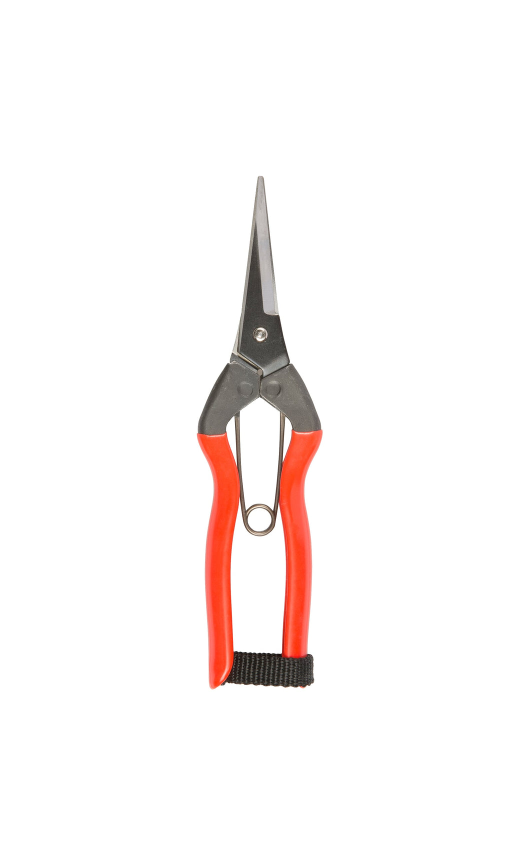 Plümo- Handmade Red garden snips with metal blades, red handles, and black strap, made in Japan.