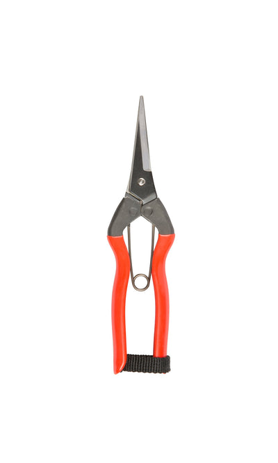 Plümo- Handmade Red garden snips with metal blades, red handles, and black strap, made in Japan.