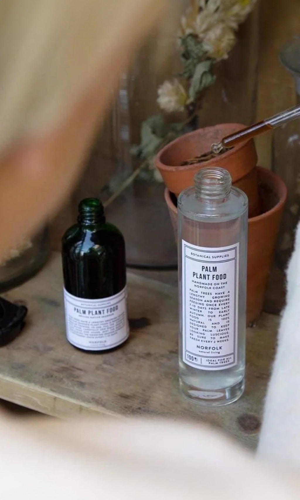 Plümo- Two bottles labeled Indoor plant food sit by terracotta pots, dried flowers, and a natural plant food for indoor plants.