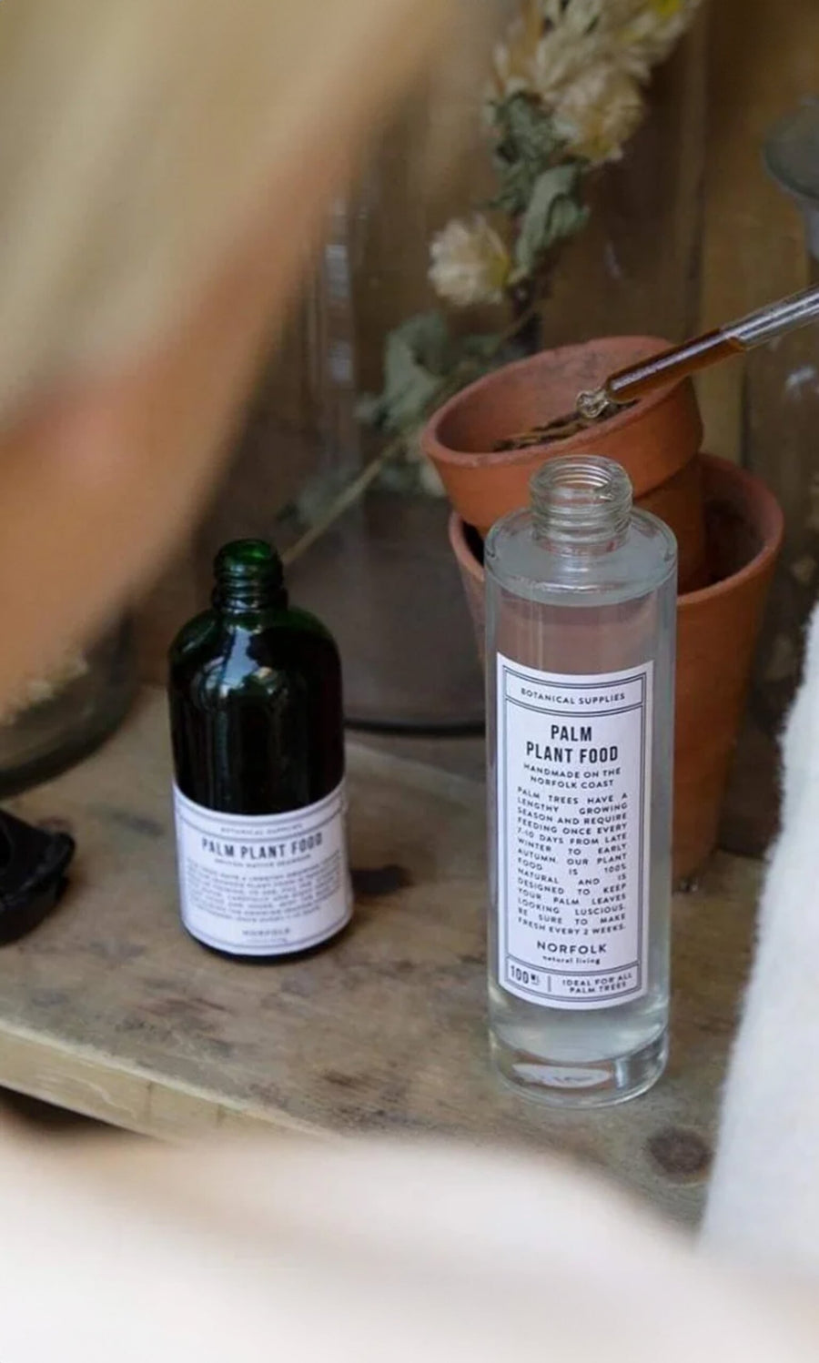 Plümo- Two bottles labeled Indoor plant food sit by terracotta pots, dried flowers, and a natural plant food for indoor plants.