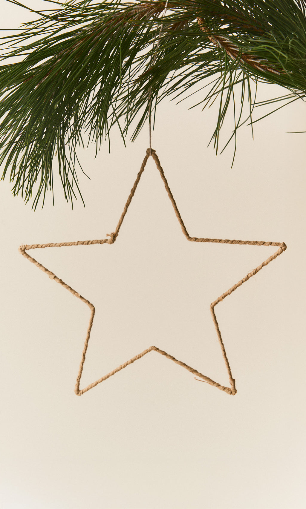 Plümo  A handmade Raffia Christmas Star made of twisted tan fiber hanging from a pine branch.