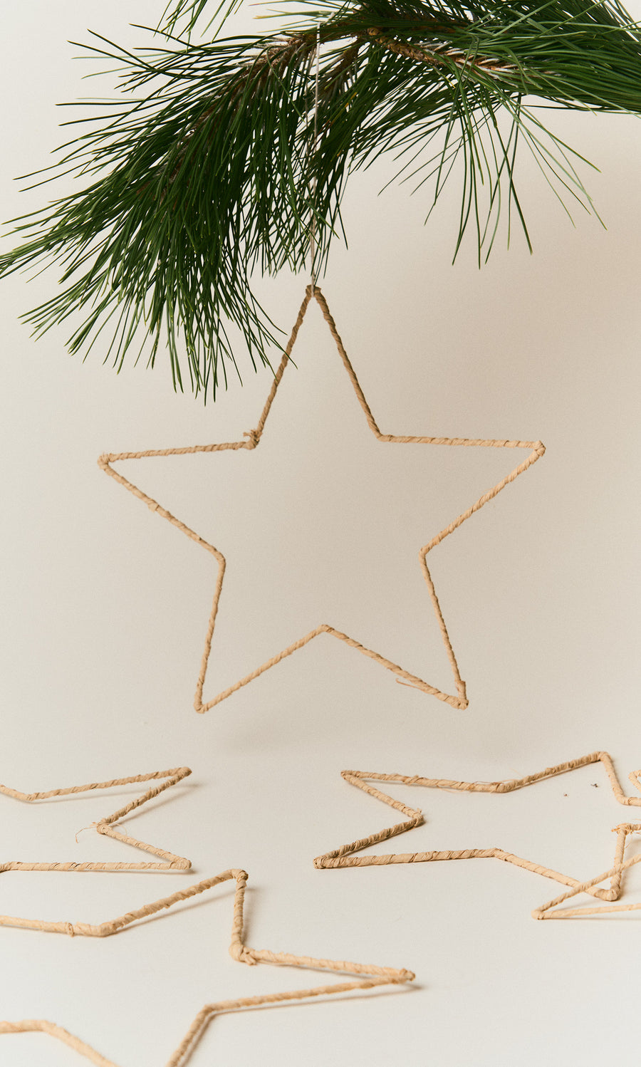Plümo  A handmade Raffia Christmas Star hangs from a pine branch above two more on a white surface.