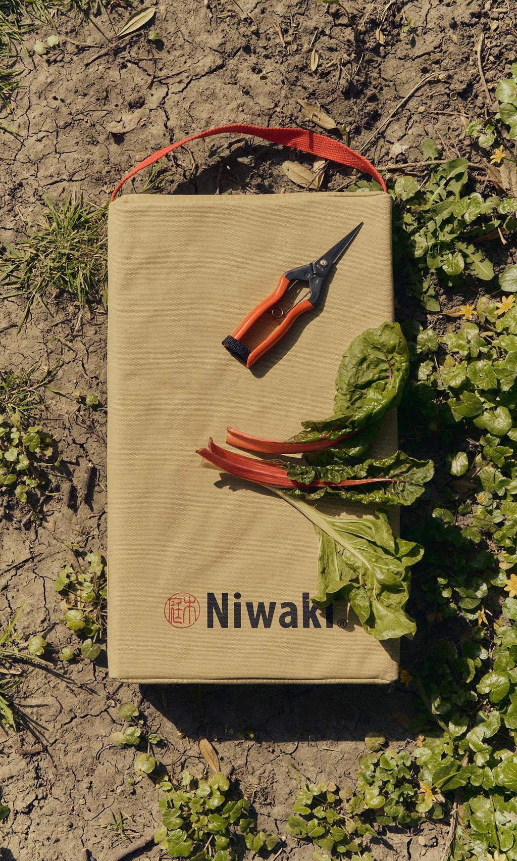 Plümo- Red garden snips and Swiss chard leaves on a tan Niwaki bag, lying on dry soil with green plants.