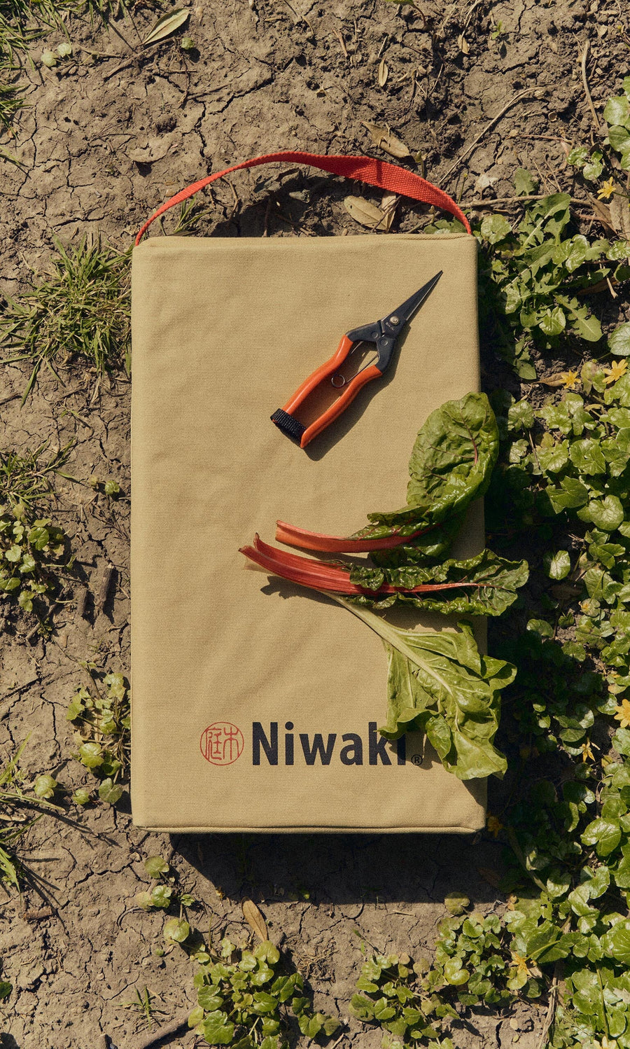Plümo- Red garden snips and Swiss chard leaves on a tan Niwaki bag, lying on dry soil with green plants.
