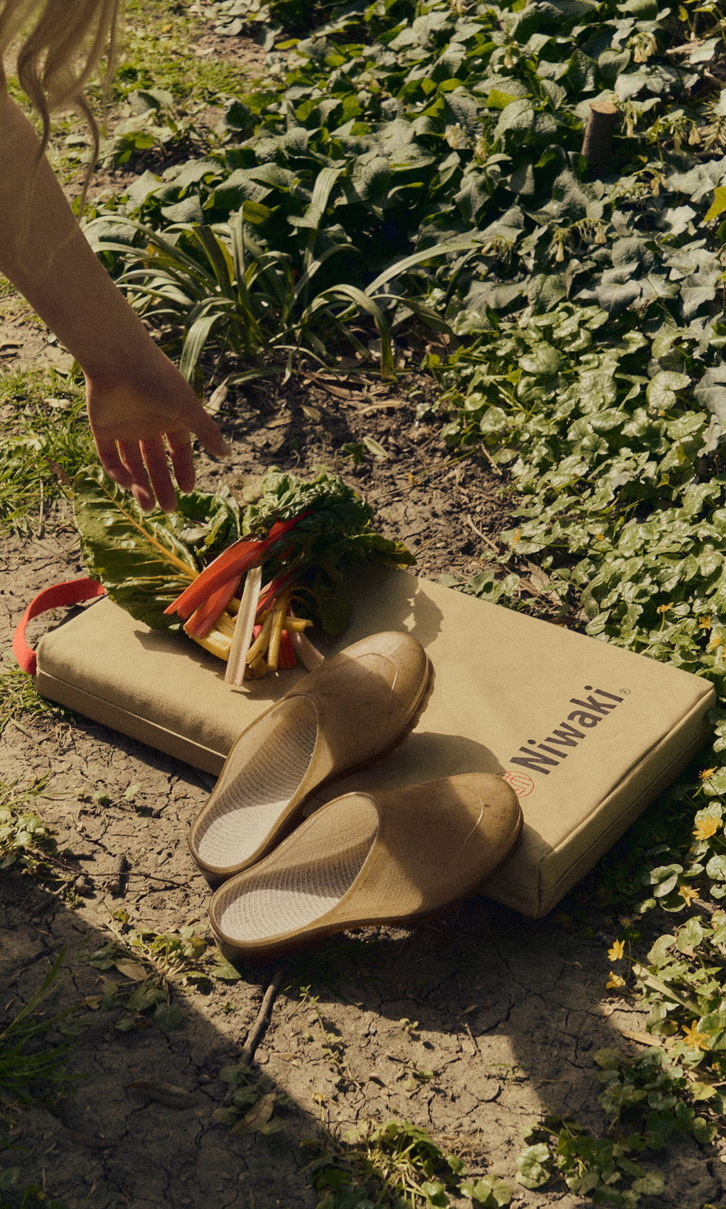 Plümo- A hand reaches for fresh vegetables near sandals and a Niwaki Kneeler on garden soil with green plants.