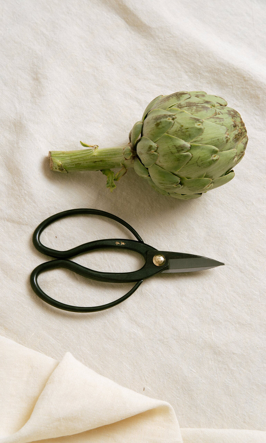 Plümo- Higurashi scissors in black carbon steel next to a fresh artichoke on a light beige fabric background.