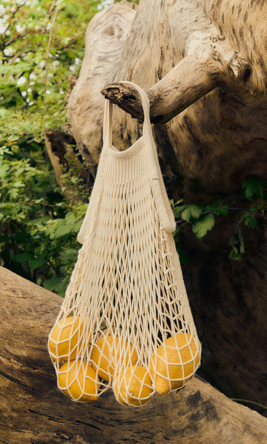 Plümo  A Net Shopping Bag in beige cotton, filled with lemons, hangs from an outdoor tree branch.