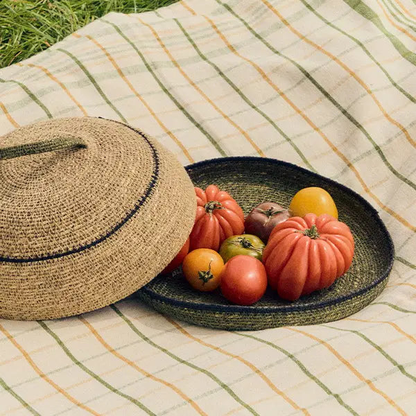 Plümo  A woven basket with a lid holds heirloom tomatoes, set on a striped picnic blanket on grass.