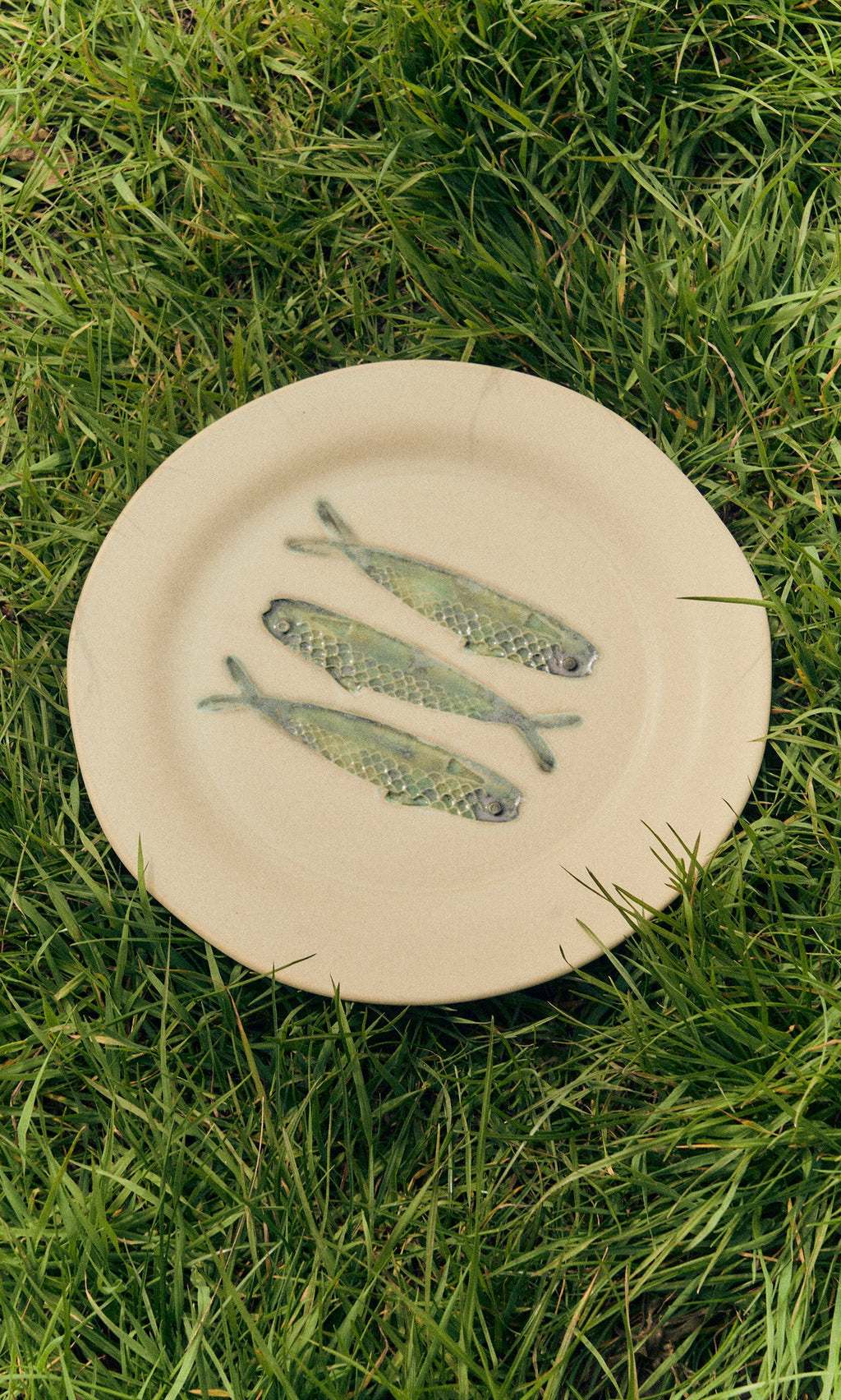 Plümo- The Sardine Plate, a beige stoneware dinner plate with hand-painted sardines, sits on green grass.