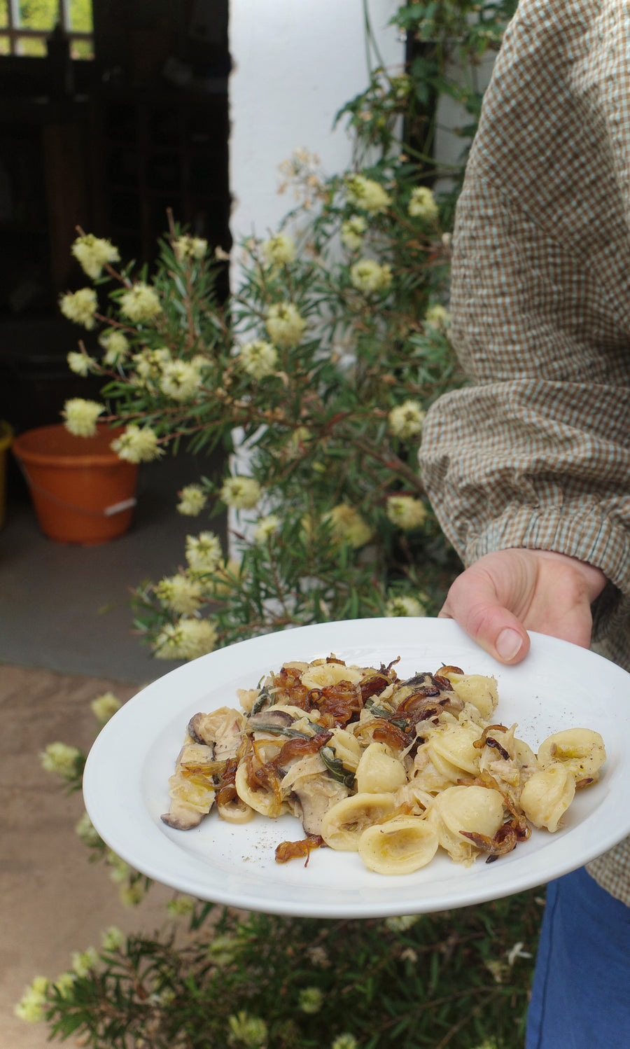 Plümo  Holding Vegetable Recipes By Jess Dennison, someone enjoys pasta surrounded by flowers and fresh greenery.