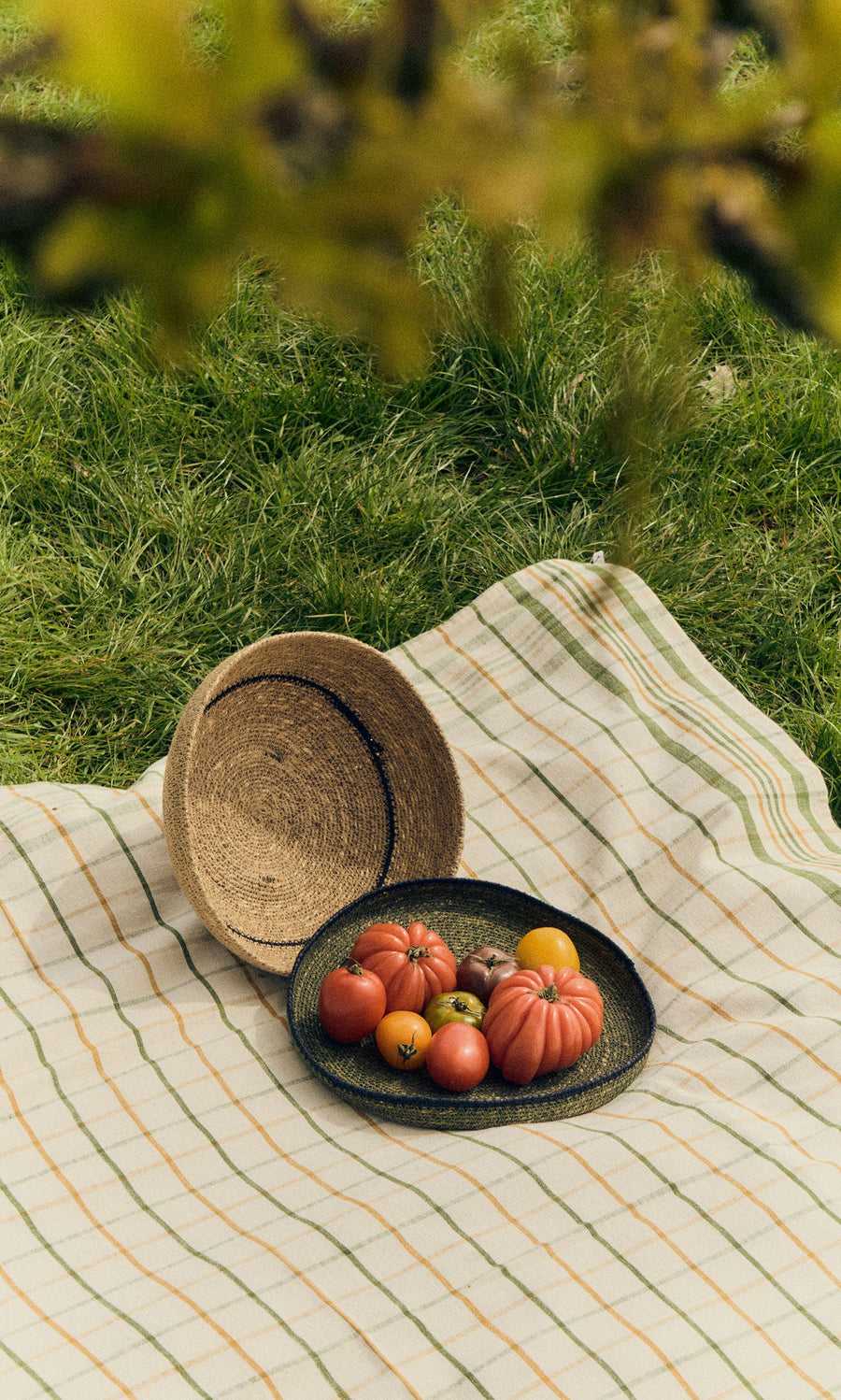 Plümo- A Seagrass Food Cover and assorted tomatoes on a striped blanket add rustic charm to the grassy picnic scene.